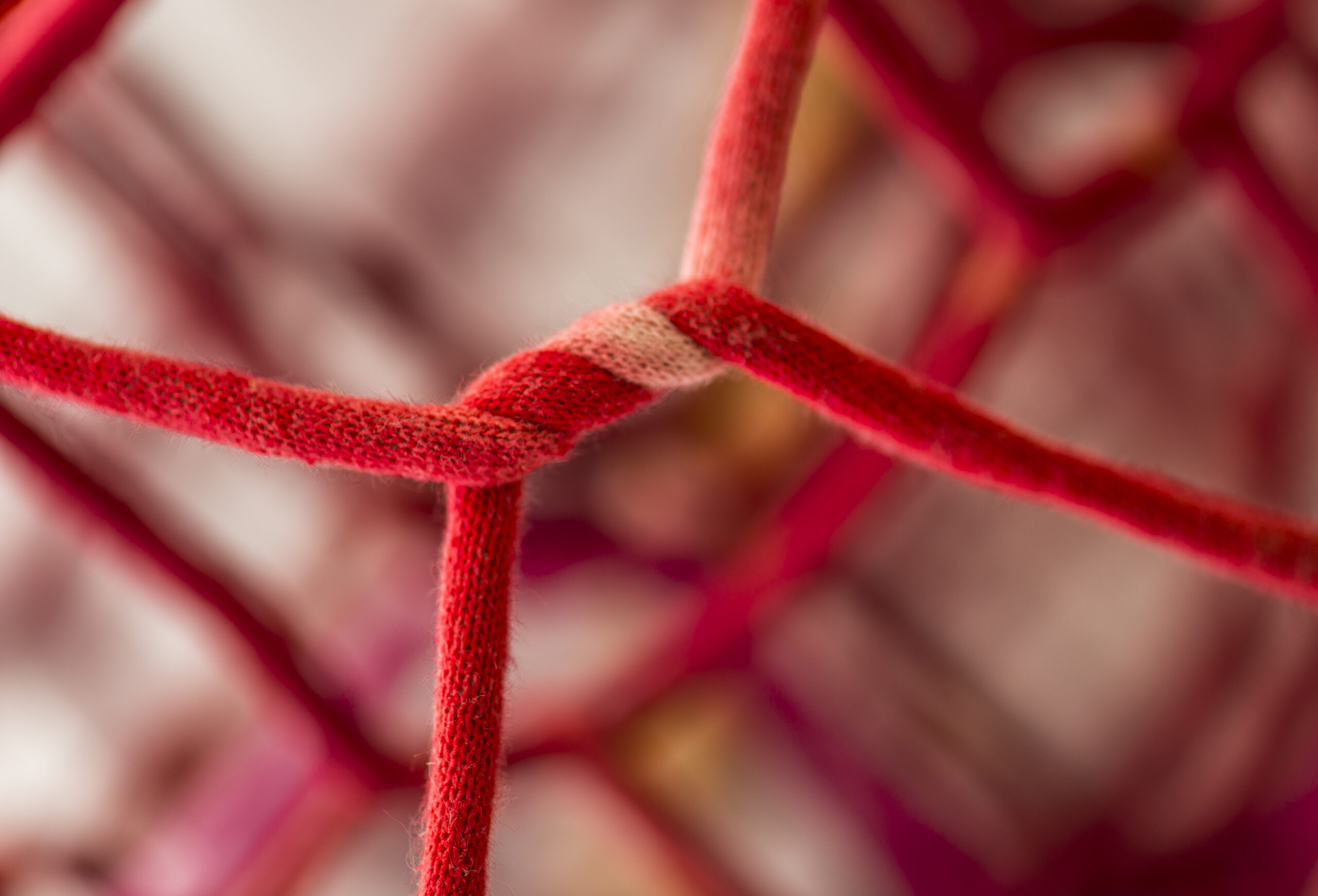 ‹Red fence›, 2018, detail, about 85x70x60 cm (unrolled length about 6 m), textile material embedded string, fence bonding technique.