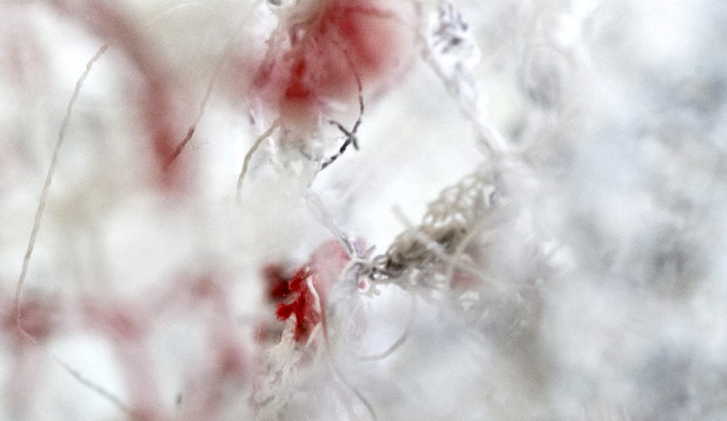 ‹Into my mothers head›, 2012, ca 15x15x20 cm, detail