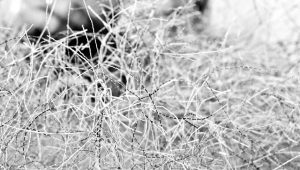 ‹Trådknyting›, 2012, ca 40x40x130 cm, thread remnants from Needlepoint embroidery, knotting, while working.