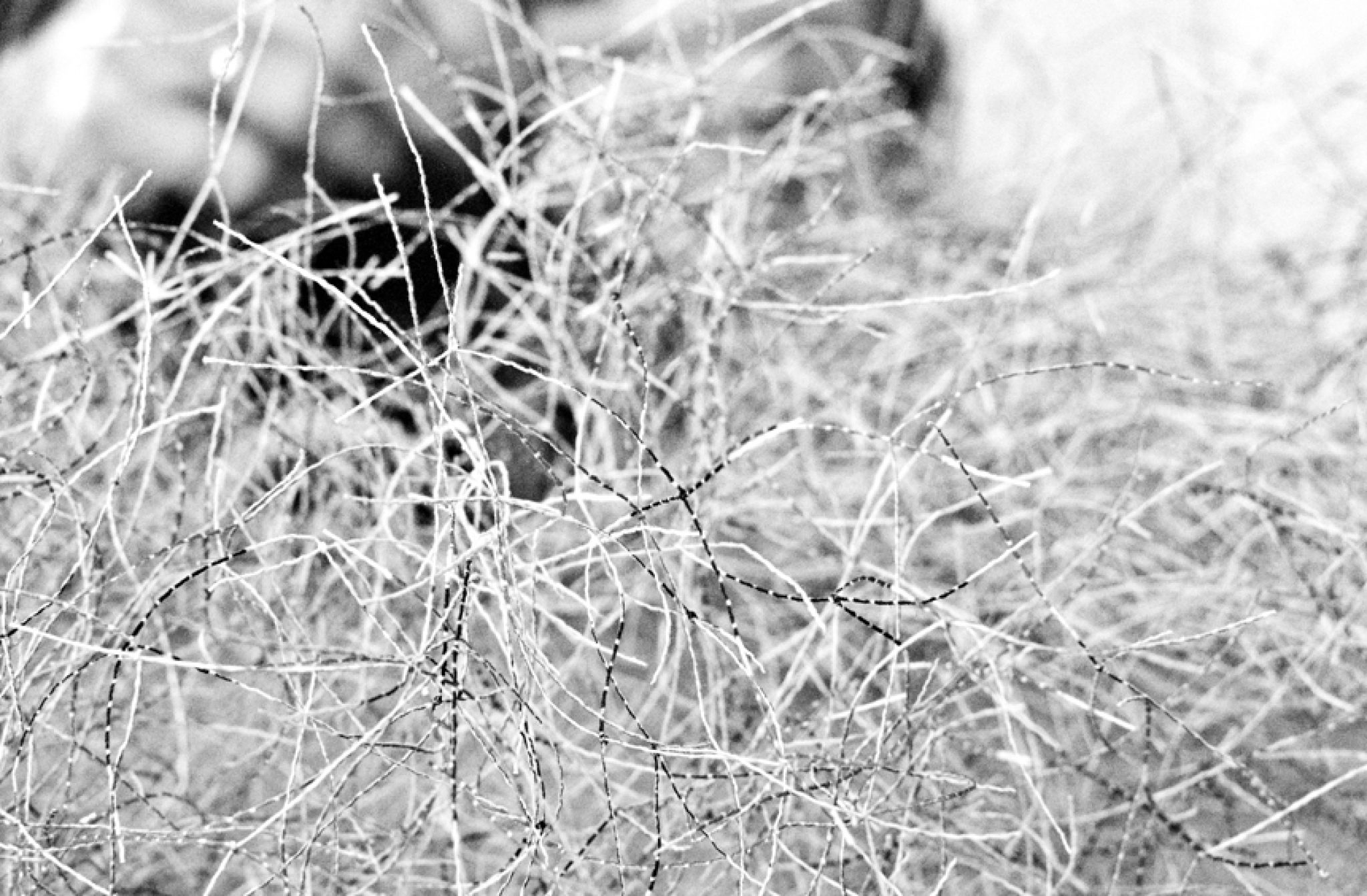‹Trådknyting›, 2012, ca 40x40x130 cm, thread remnants from Needlepoint embroidery, knotting, while working.